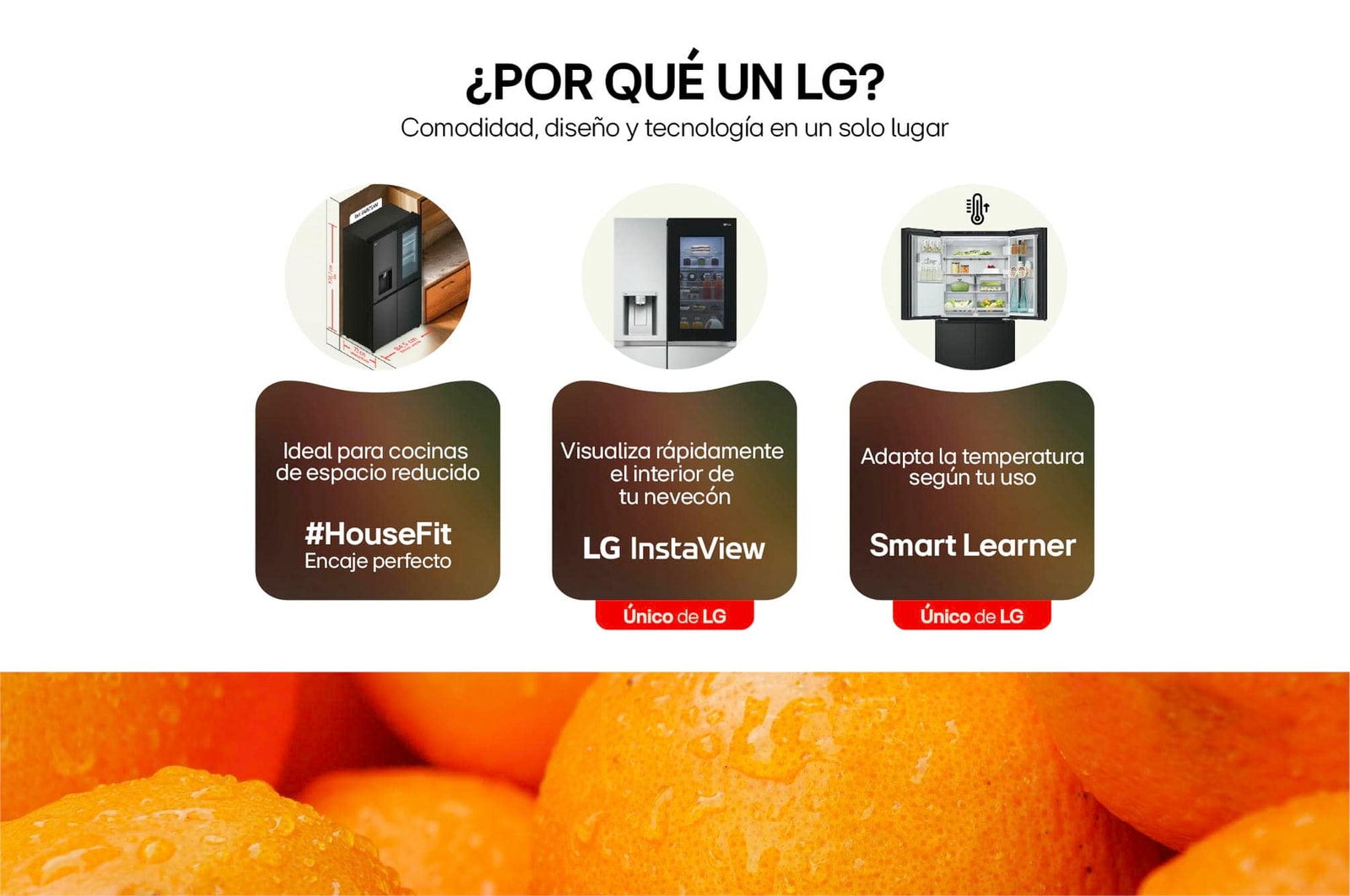 Funciones Nevecon Side By Side InstaView Door-In-Door LG GS66SXTC